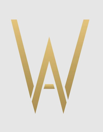 Company Logo For Wise Aesthetics'