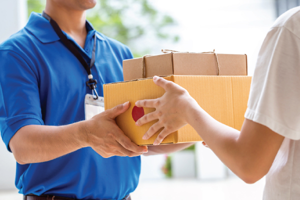 Domestic Courier, Express, and Parcel Market'