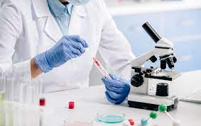 In Vitro Diagnostics (IVD) Market'