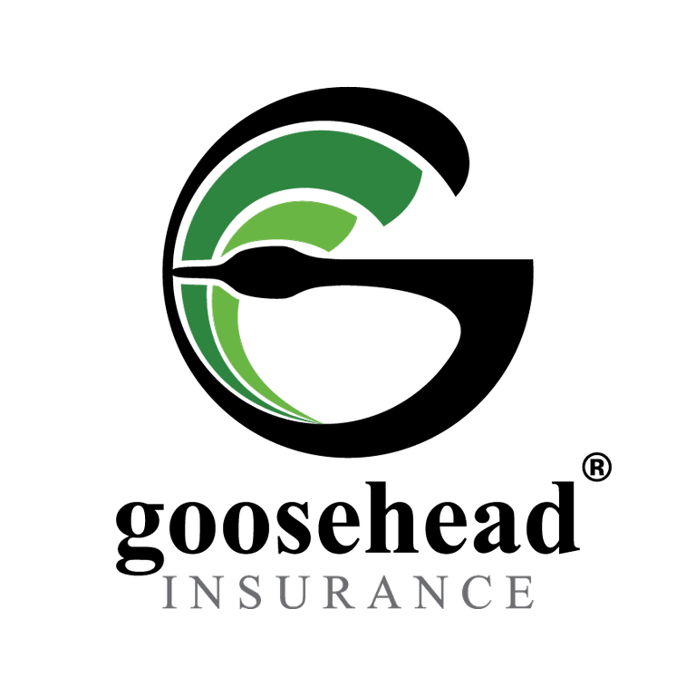 Company Logo For Goosehead Insurance - Collin Goslin &am'