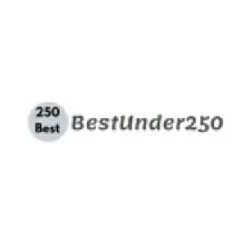 Company Logo For Best Under 250'