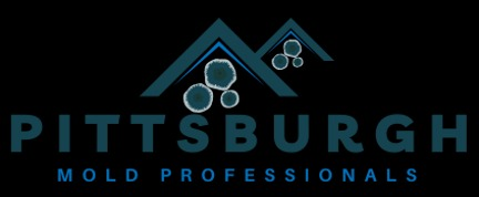 Company Logo For Pittsburgh Mold Removal Solutions'