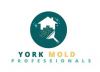 Mold Remediation York PA Solutions
