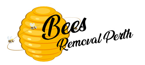 Company Logo For Bees Removal Perth'