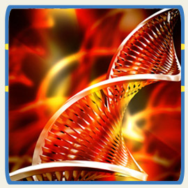 Integra Medical Center