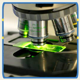 Integra Medical Center