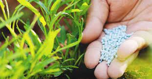 Hydroponic Fertilizers Market'