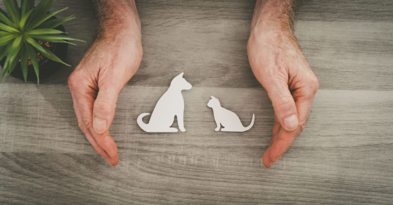 Pet Insurance Market