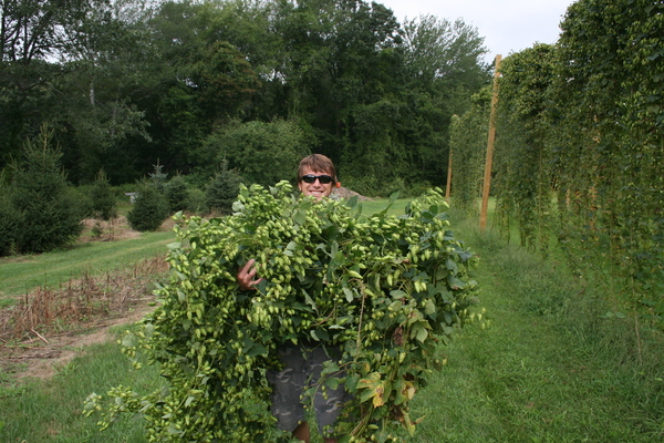 Tilted Barn Brewery'