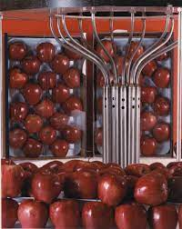 Food Irradiation Service Market