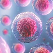 Cell Separation Market