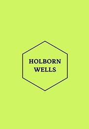 Company Logo For Holborn Wells India Private Limited'