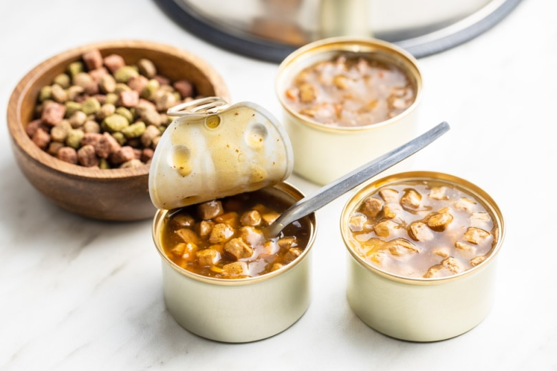 Canned Dog Foods Market