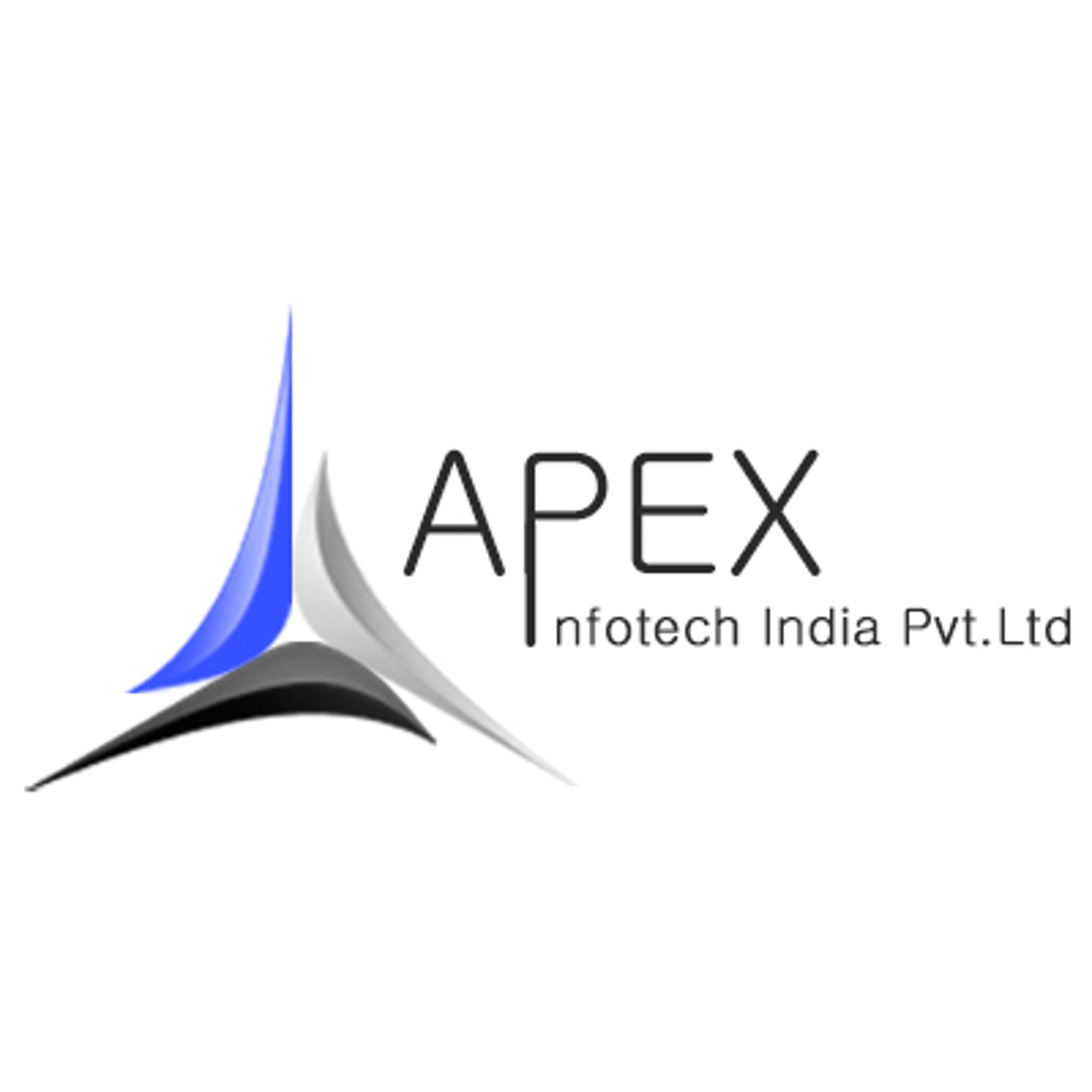 Company Logo For Apex Infotech India Private Limited'