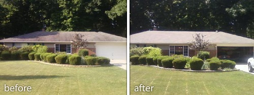 Company Logo For Tri County Roof Cleaners'