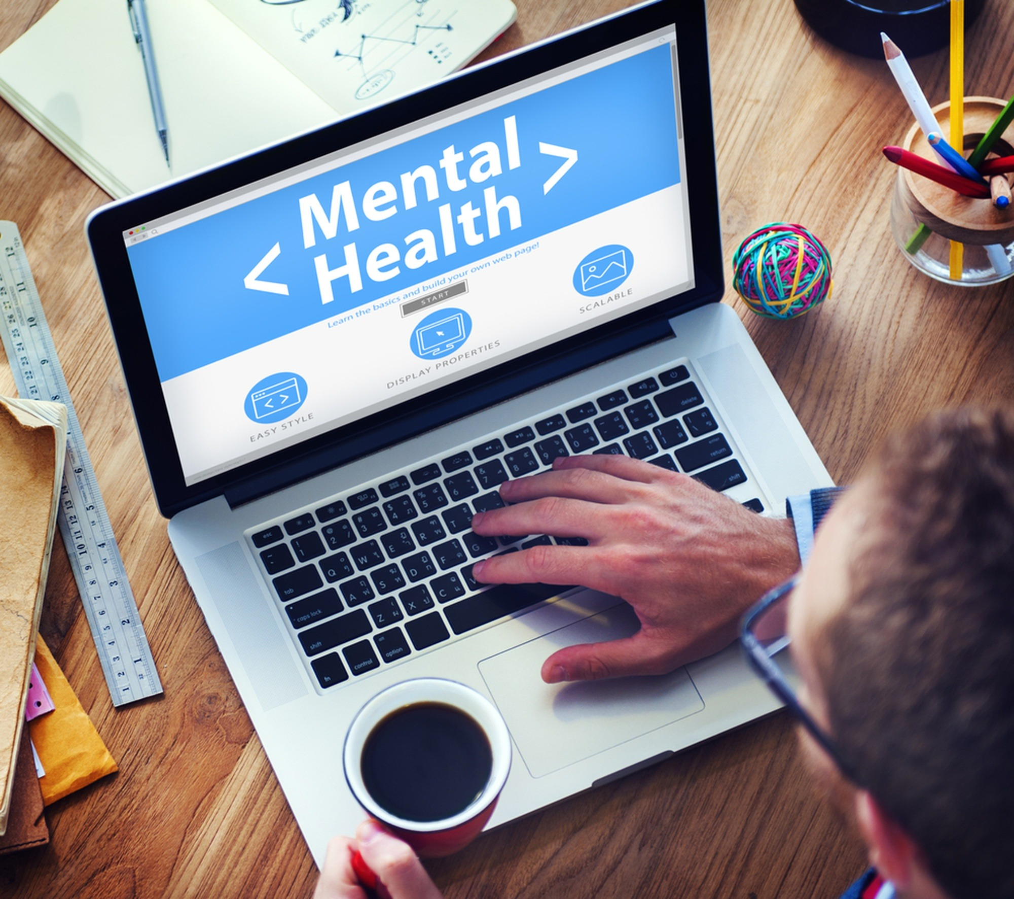 Behavioral Mental Health Software Market'