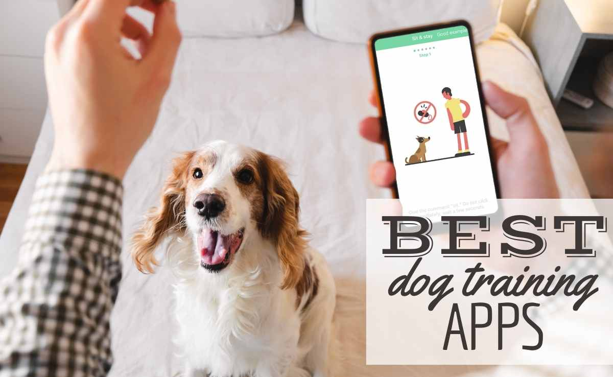Dog Training Apps Market