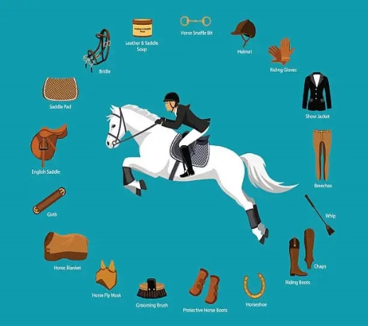 Horse Riding Equipment