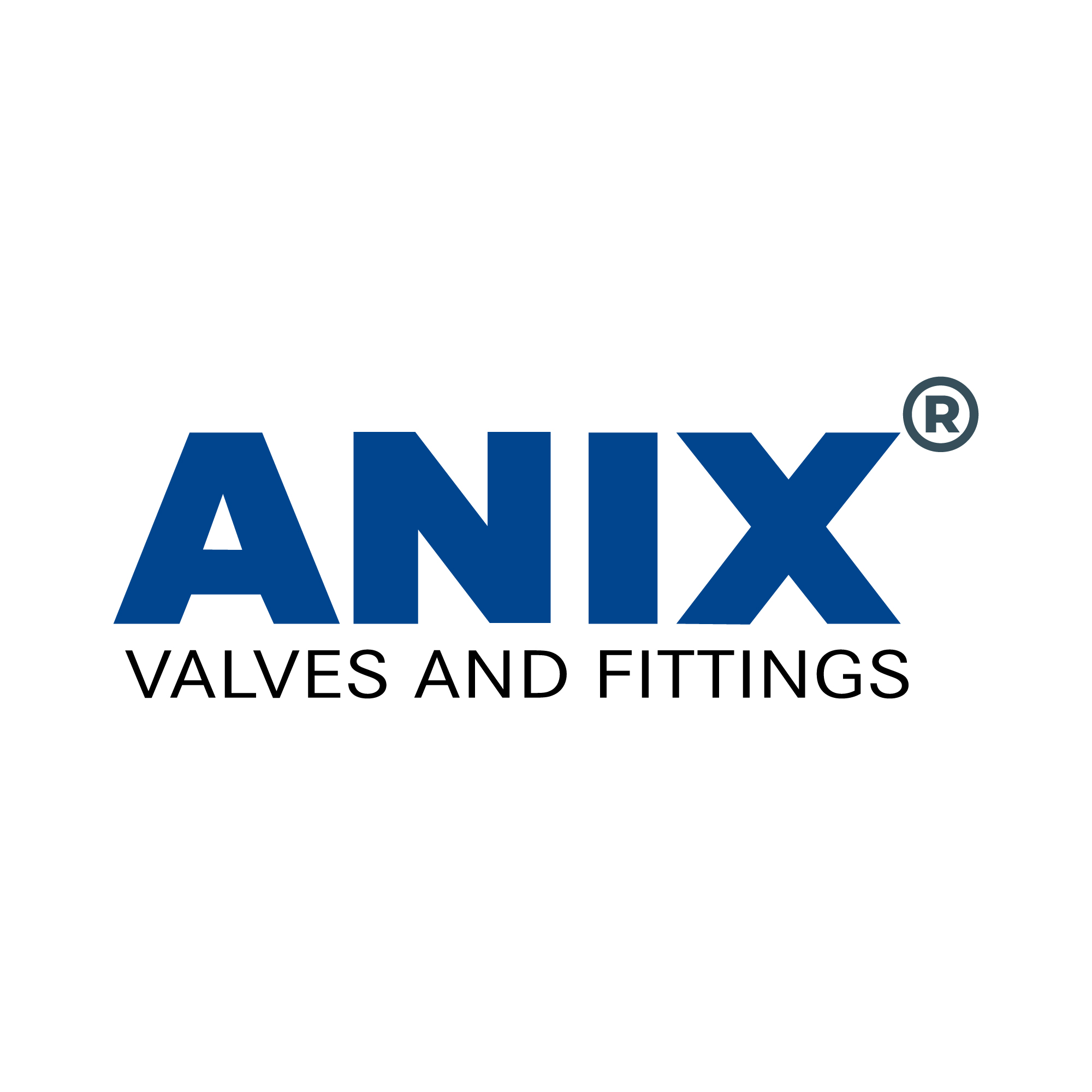 Company Logo For Anix Valve USA'