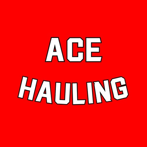 Company Logo For ACE Hauling Junk Removal &amp; Moving'