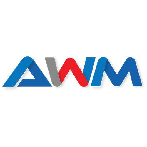 American Webs Master Logo