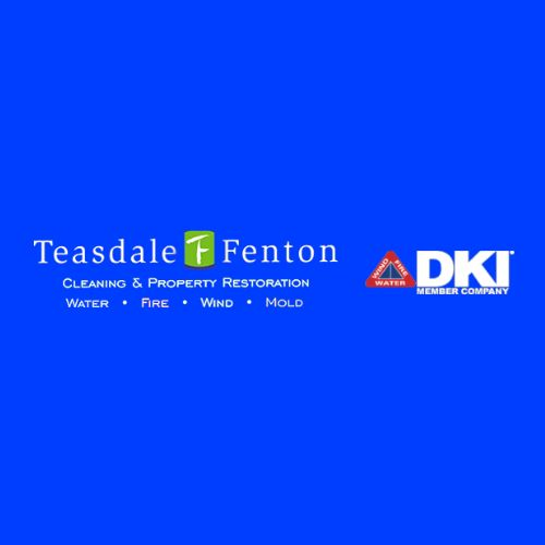 Company Logo For Teasdale Fenton Restoration'