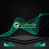 Company Logo For Cashygo PVT LTD'