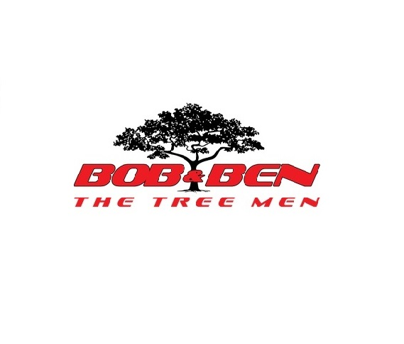 Company Logo For Bob and Ben the Tree Men'