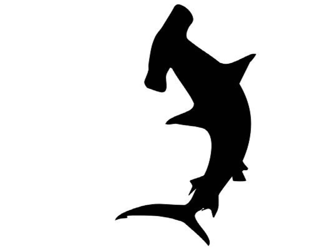 Company Logo For Naples Pressure Washing and Roof Cleaning'