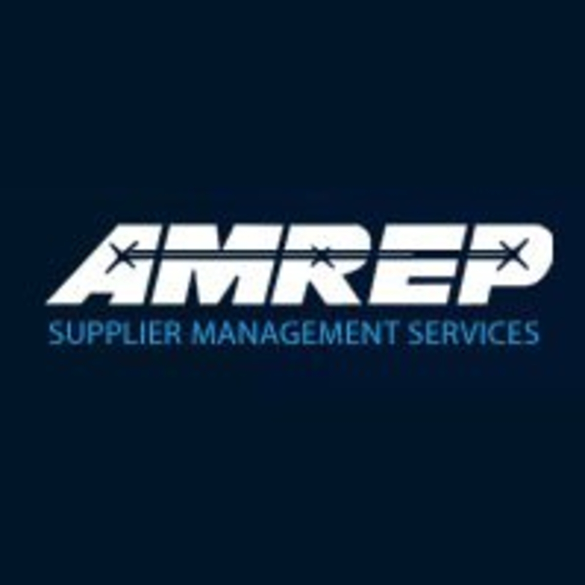 Company Logo For Amrep Inspect'