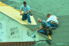 Louisville Roofing Contractors - Storm Damage Experts'