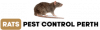 Rat Pest Control Perth