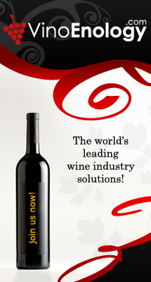 Online B2B Wine Marketplace'