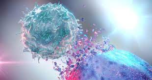 Cancer Immunotherapies Market'