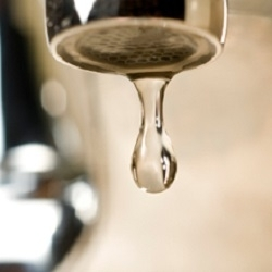 Ray Pavone Plumbing Repair & Drain Service