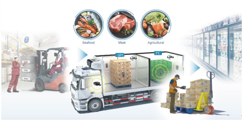 3PL in Cold Chain Logistics Market