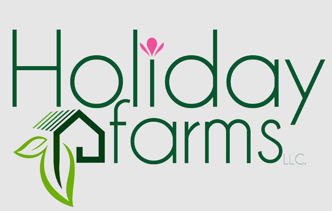 Company Logo For Holiday Farms'