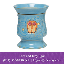 Kara Egan Scentsy warmer'