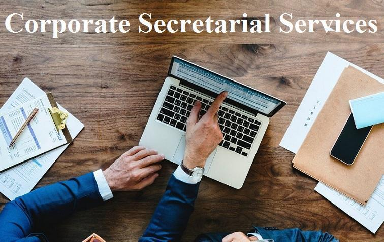 Corporate Secretarial Services Market'