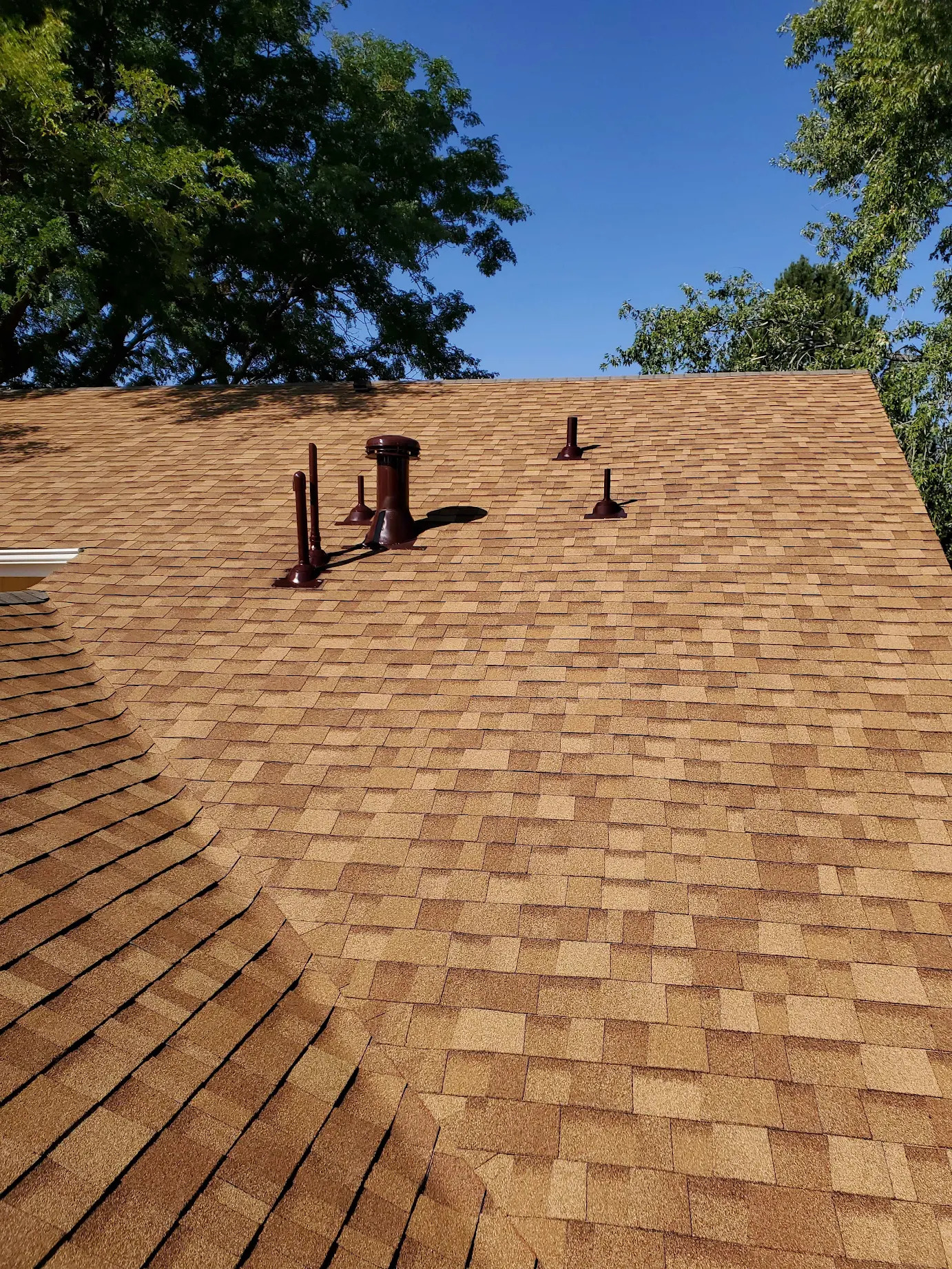 Longmont Roofing'
