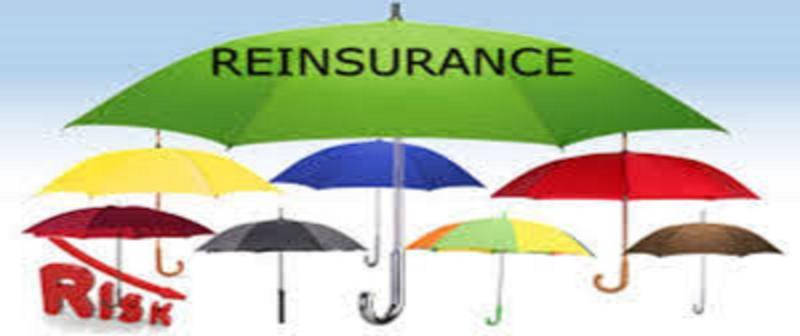 Reinsurance Carriers Market'