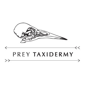 Prey Taxidermy'