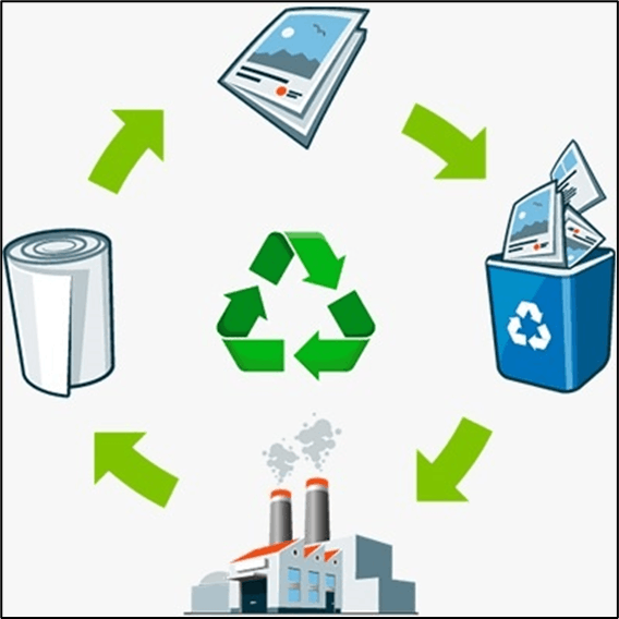 Waste Paper Recycling Market