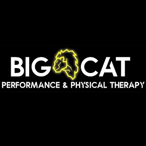 Company Logo For Big Cat Performance &amp;amp; Physical Ther'