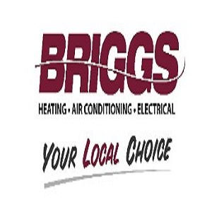 Company Logo For Briggs Mechanical Inc'