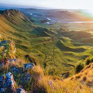 Renee Peek Author Logo