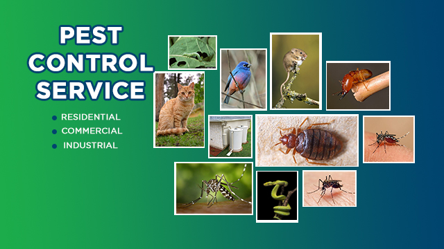 Fumigation Services in Karachi Logo