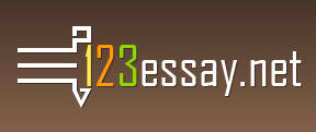 123Essay'