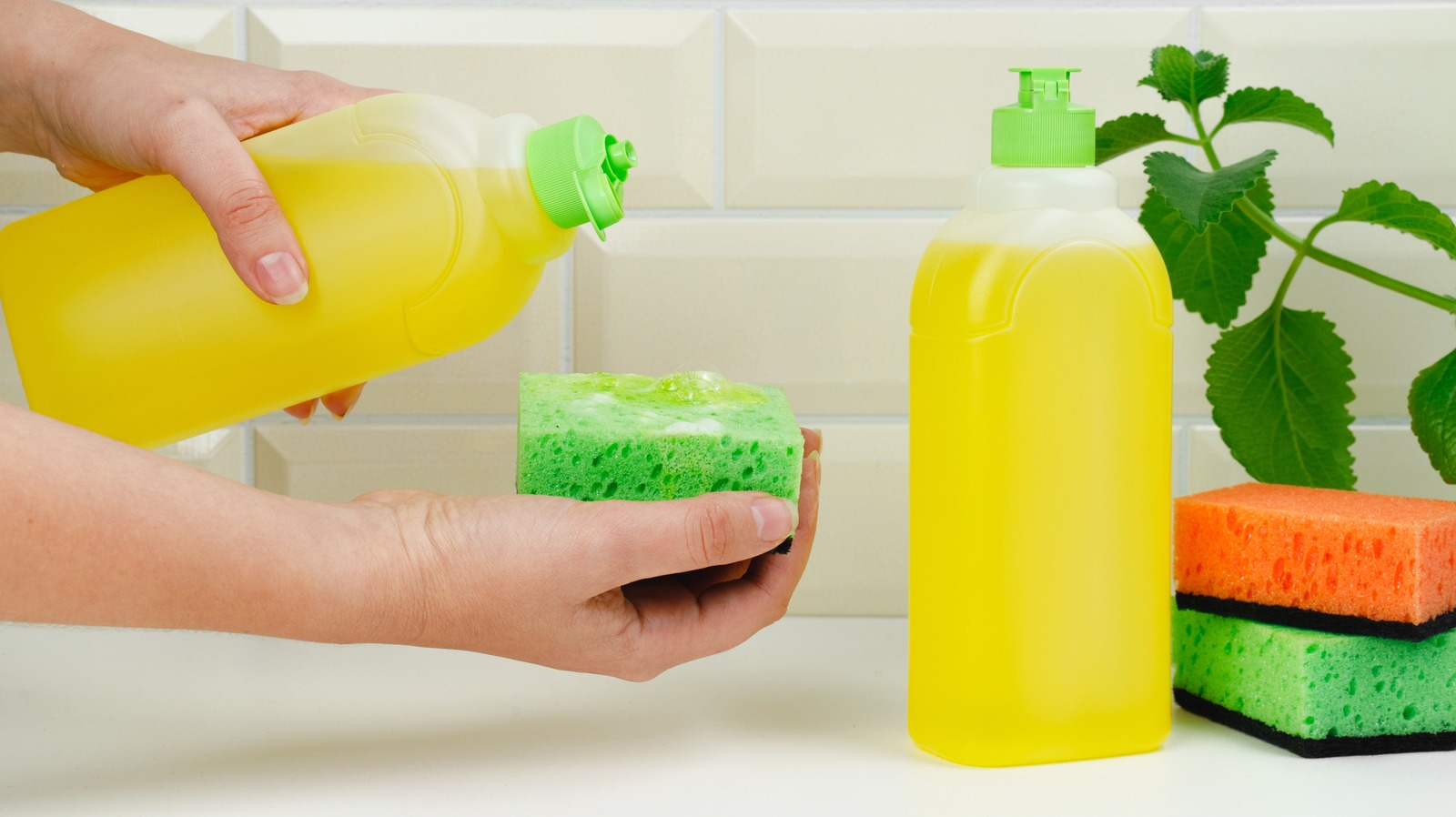 Dishwash Liquid Market