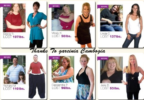 Garcinia Cambogia Results'